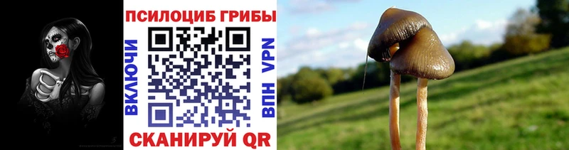Галлюциногенные грибы прущие грибы  Морозовск 